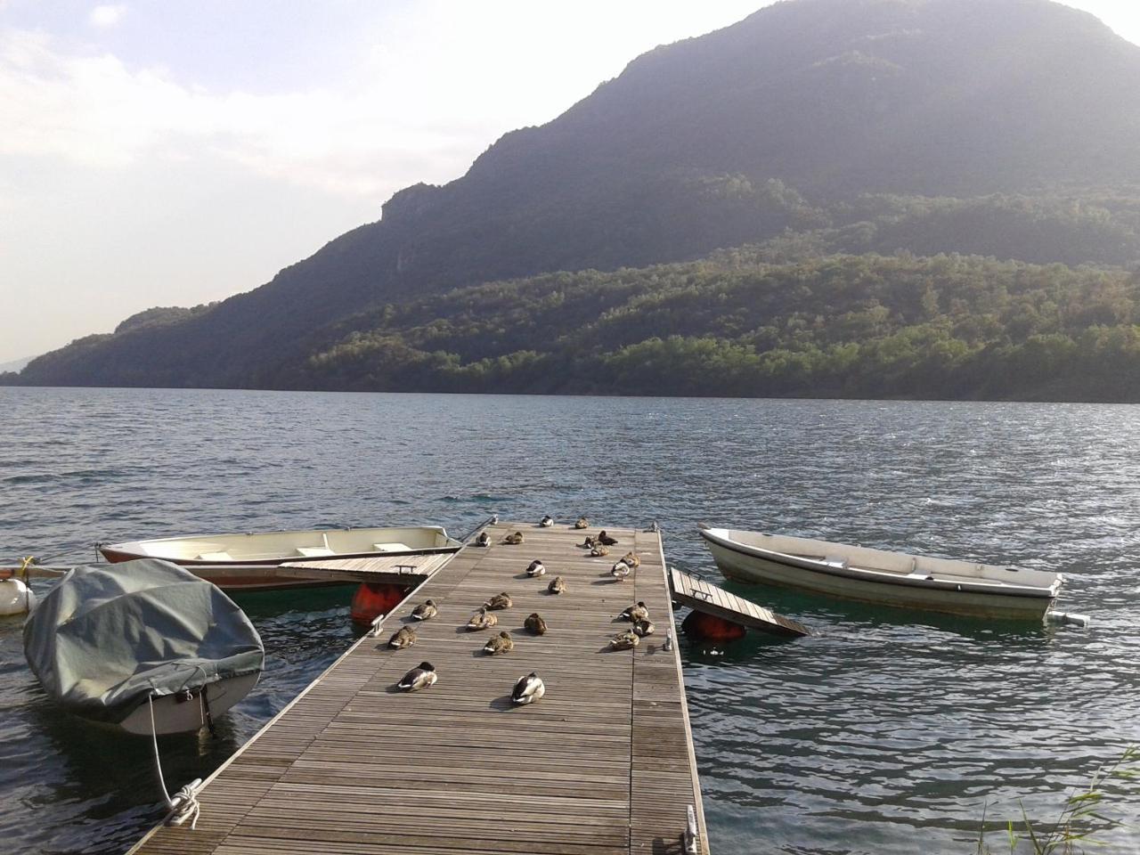 B&B Il Picchio Mergozzo Eksteriør billede